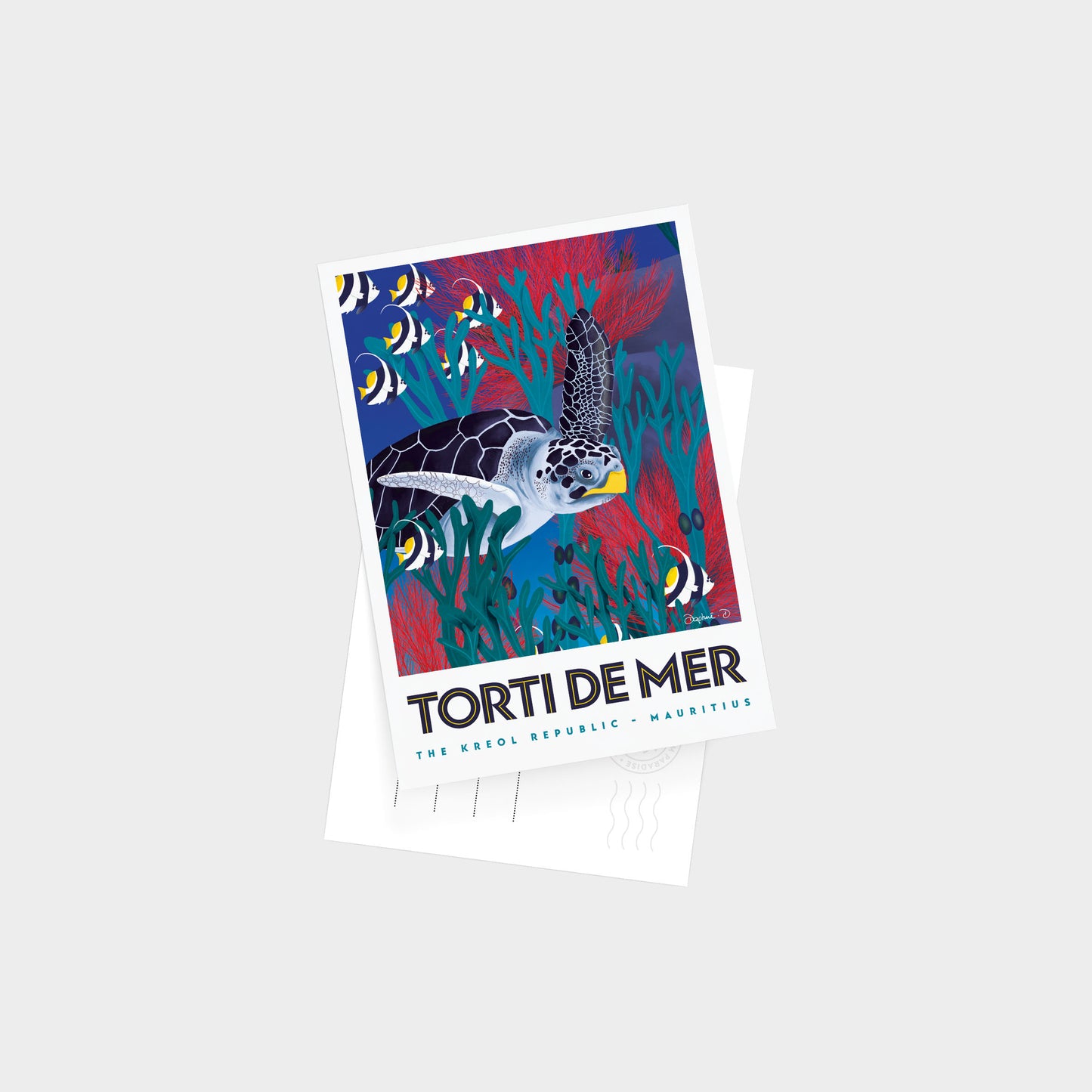 Postcard TORTI DE MER