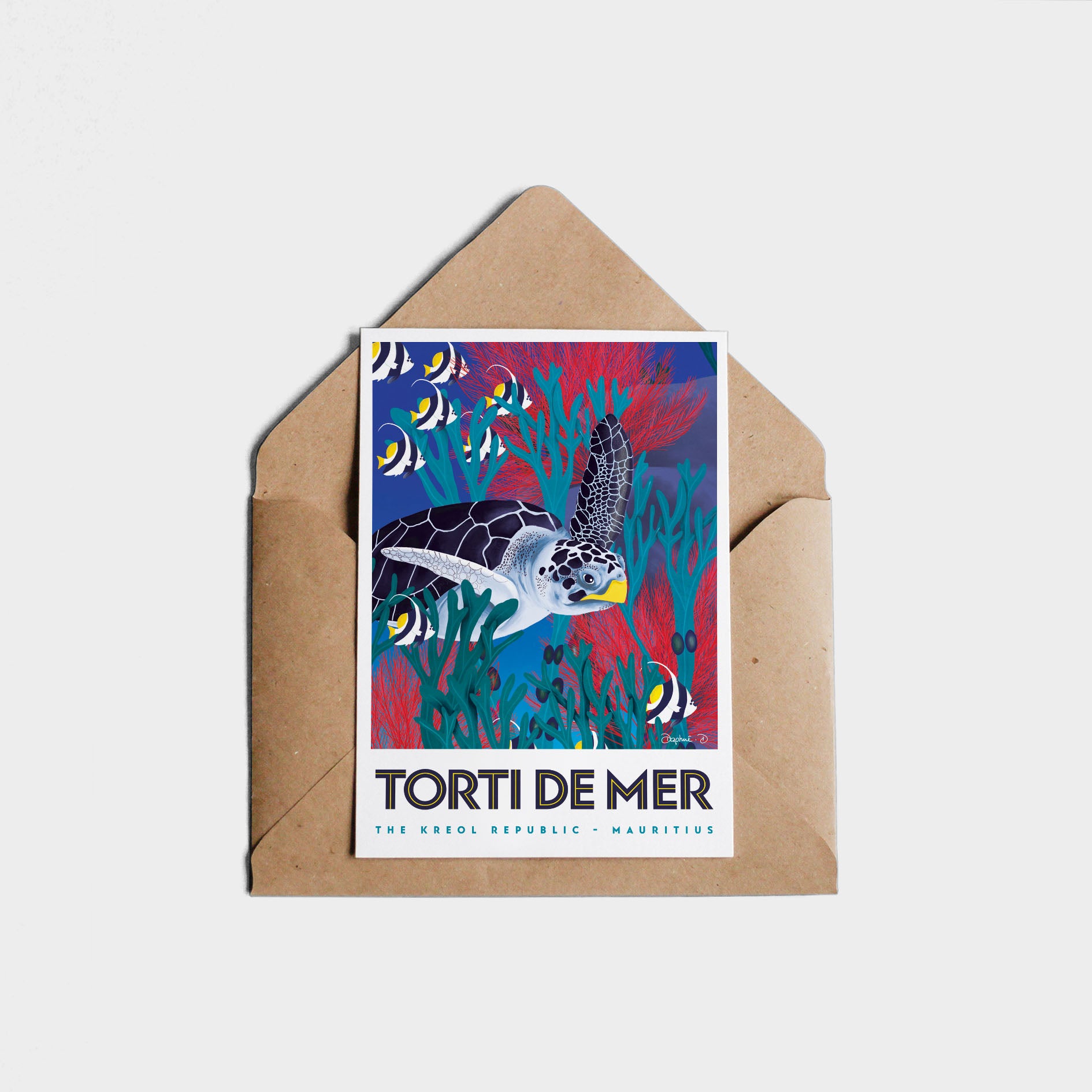 Postcard TORTI DE MER