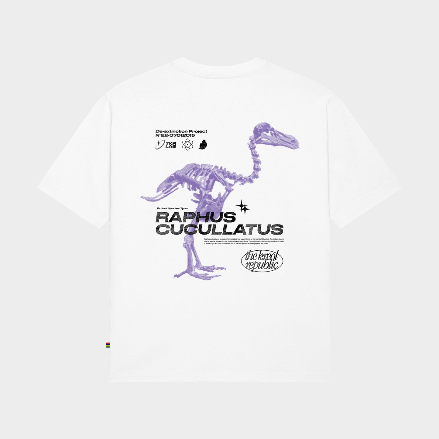 Tee-Shirt Man Oversized RAPHUS