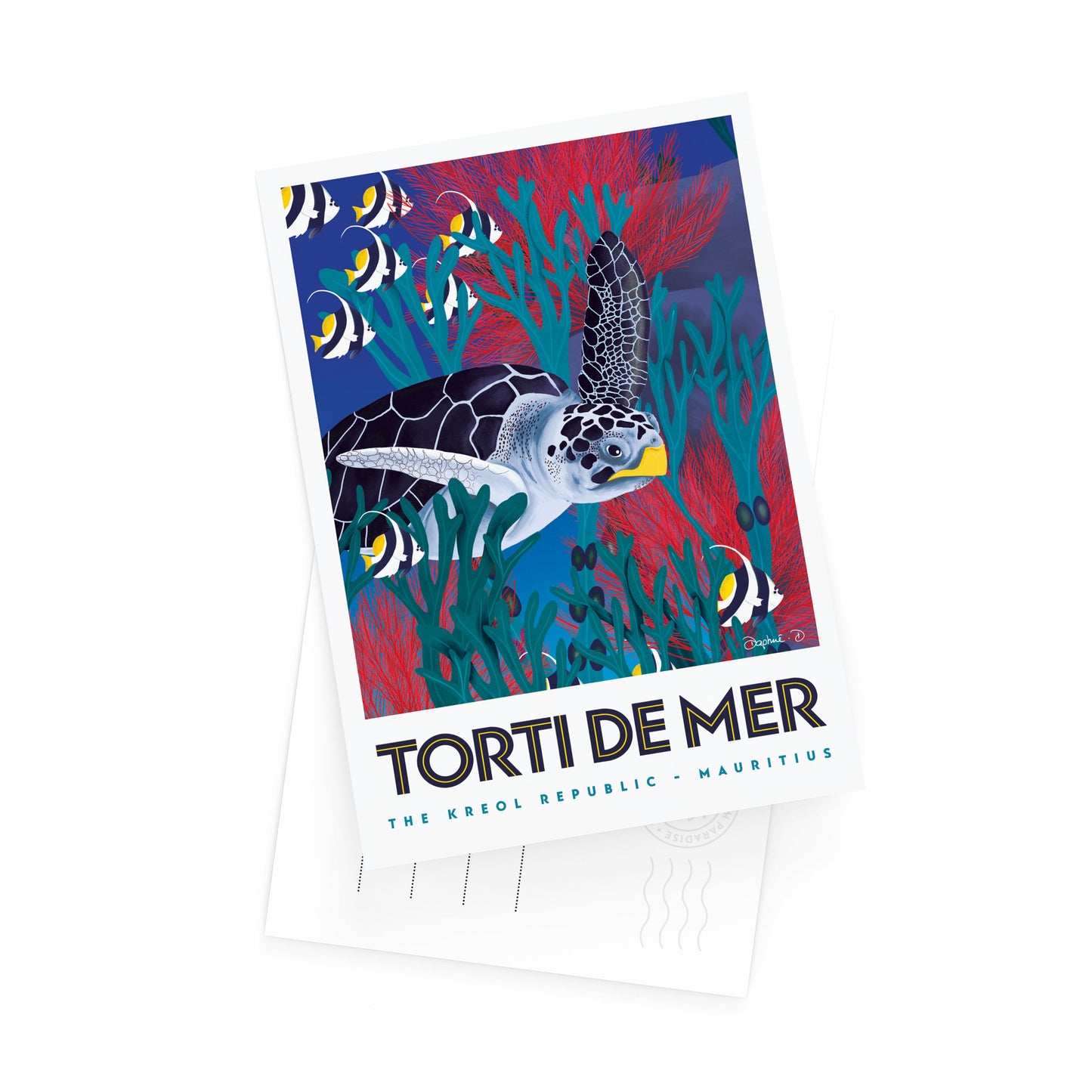 Postcard TORTI DE MER